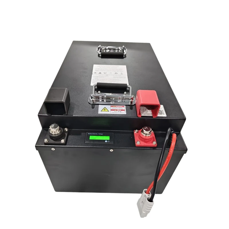 Batería LiFePO4 XH de 48V 100Ah con BMS para triciclo, carrito de golf. - Imagen 2