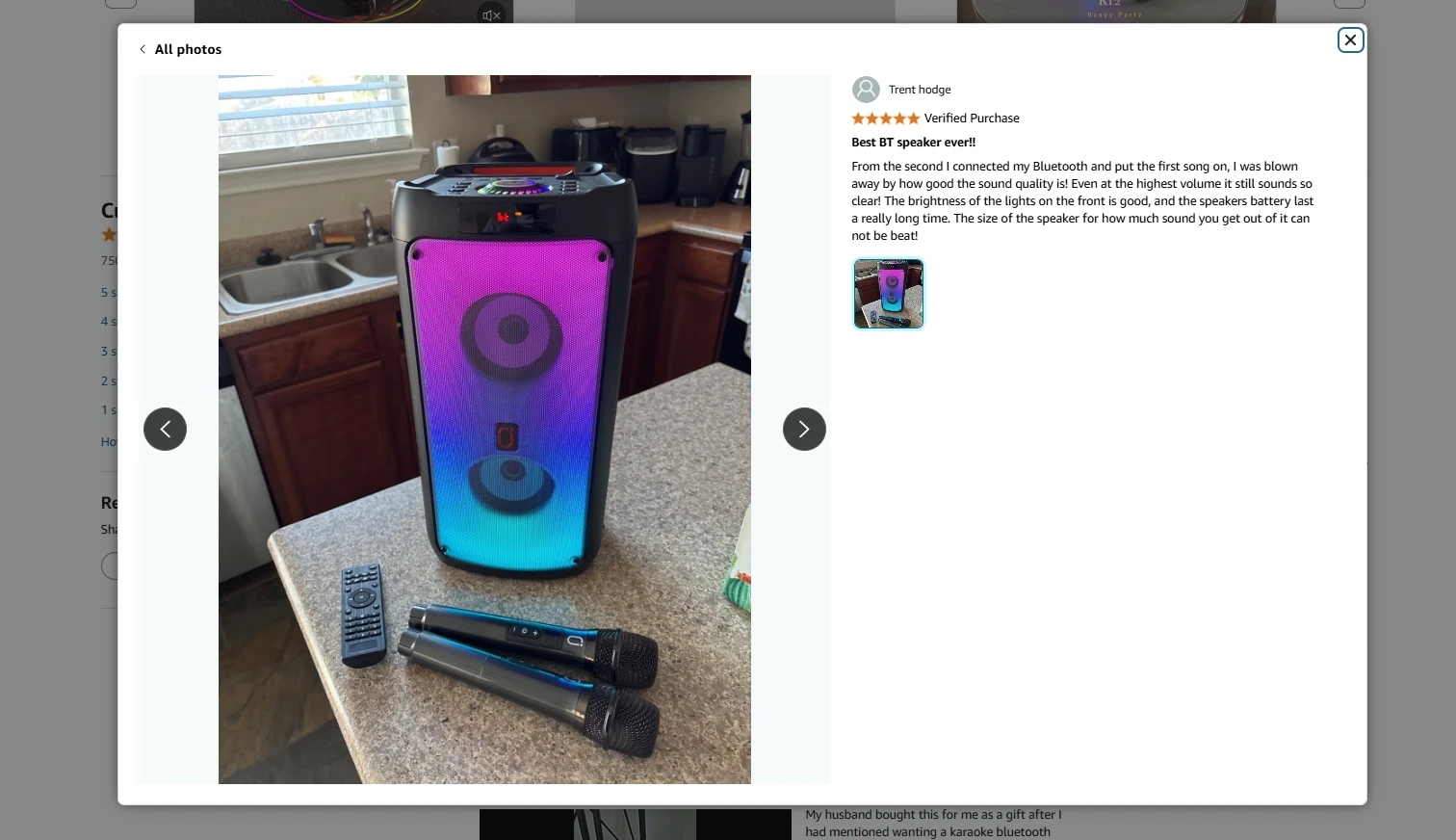 T10-T Wireless Bluetooth Speaker, Karaoke Machine with 2 Microphone, Home Karaoke Party Speaker with LED Light